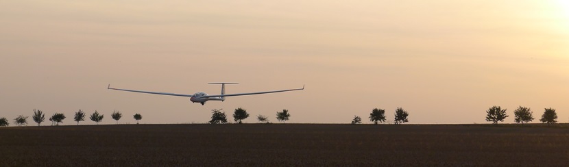 DG500 Kornfeld groß